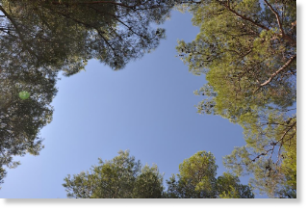 De aanmelding sluit telkens 2 weken voor aanvang van het programma. Na aanmelding nemen wij graag contact met je op. Heb je nog vragen, bel of mail gerust voor een persoonlijke toelichting!